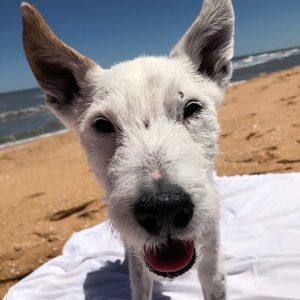 Meet your Posher, Erica